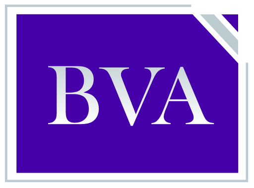 BVA - Bookkeeping, Business Valuations, Accounting & Taxation Specialists